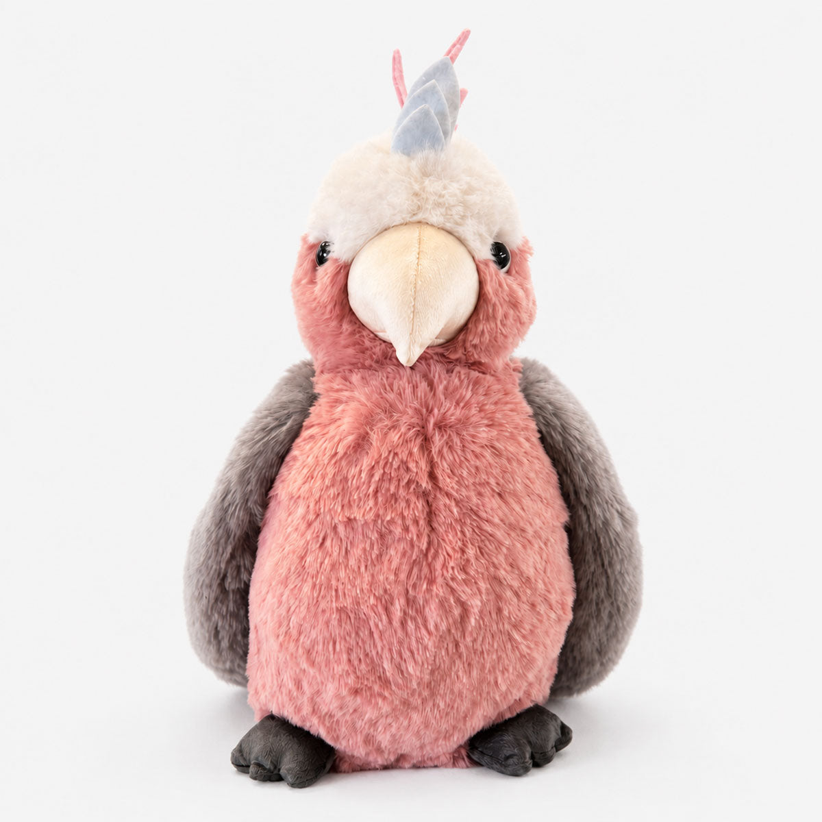 Galah
