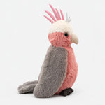 Galah