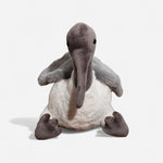 Ibis