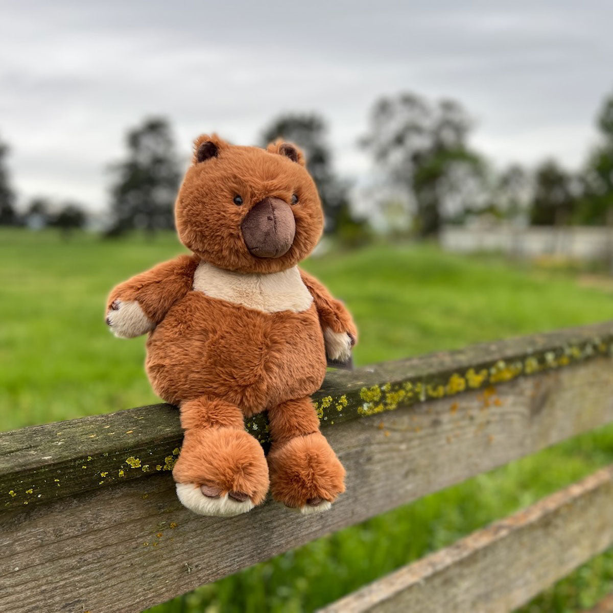 Wombat – Furfolk